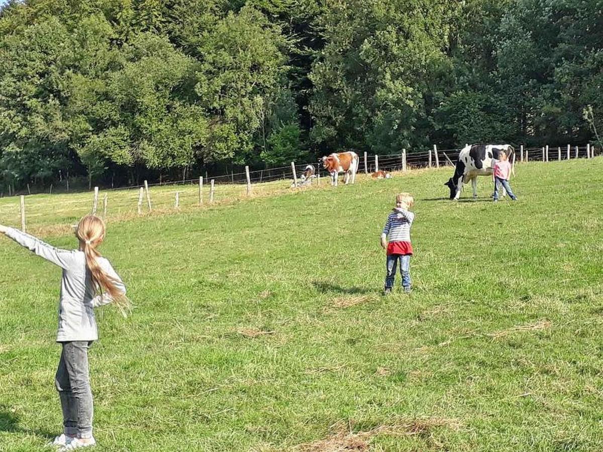 Ferienwohnungen Baust Im Muehlental Eslohe Dış mekan fotoğraf